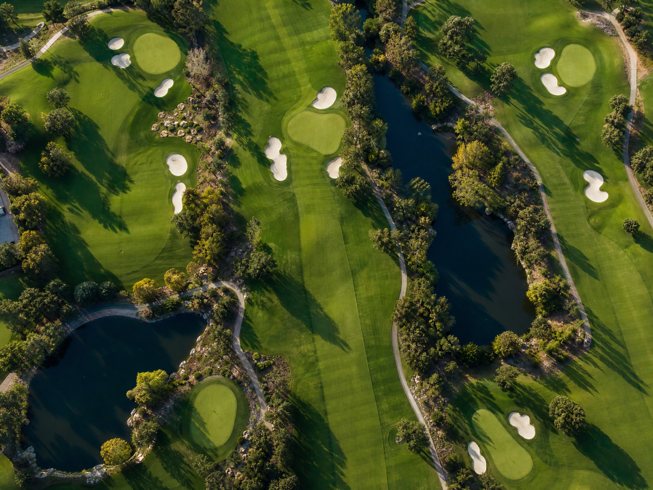 Aerial view of golf course