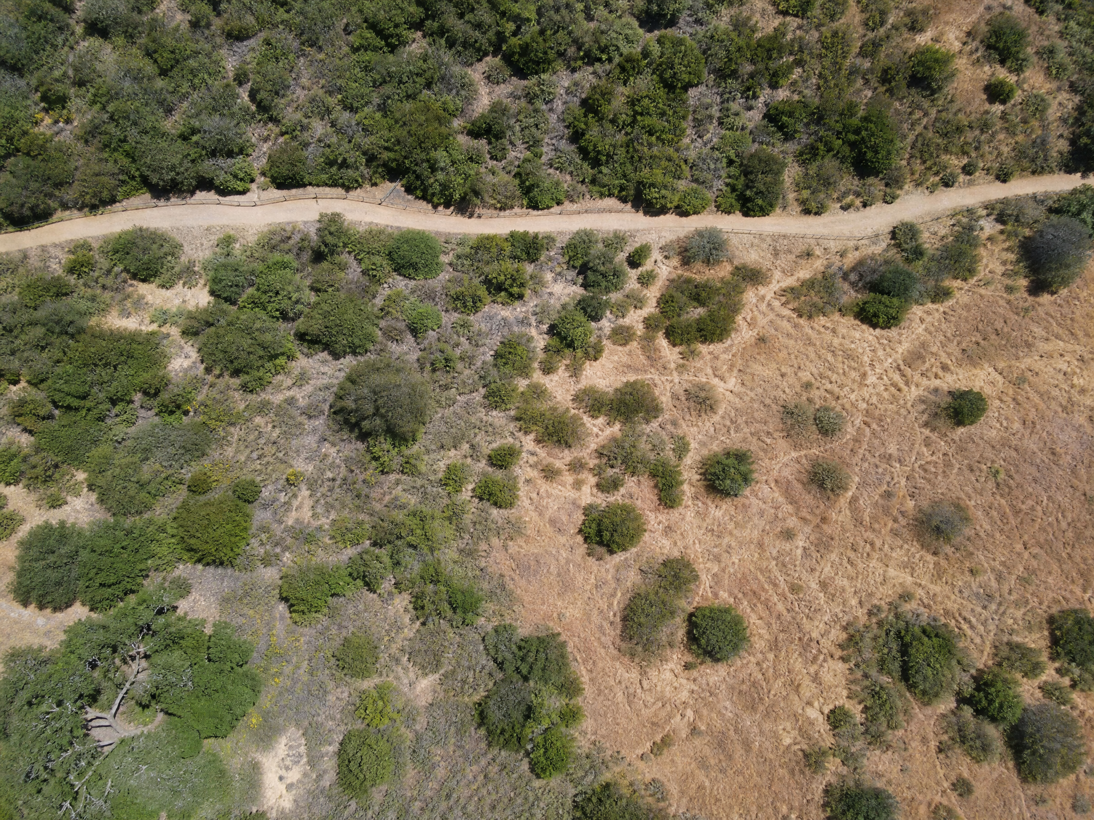 Habitat restoration monitoring